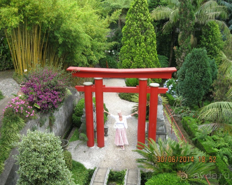 Часть 6. Изумрудные портьеры Монте.