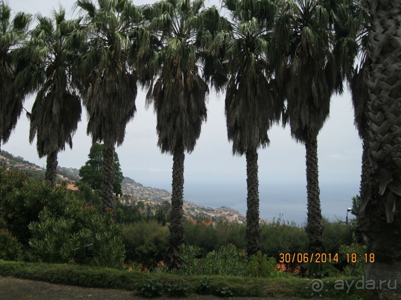 Часть 6. Изумрудные портьеры Монте.