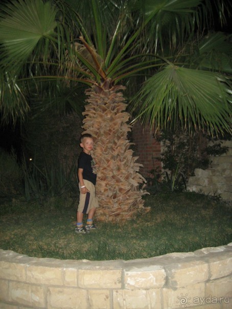 фото Jasmine Village