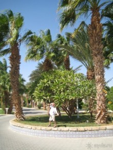 Отель для отдыха с детьми!