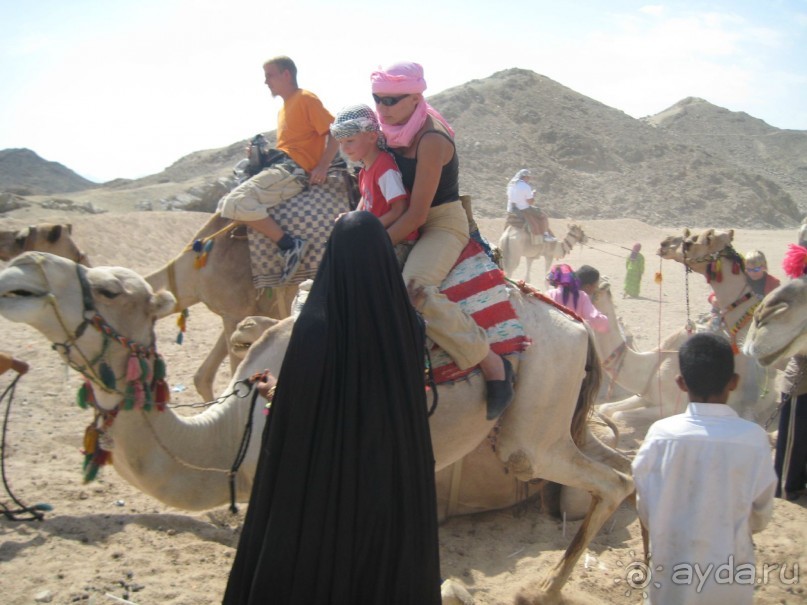 Отель для отдыха с детьми!