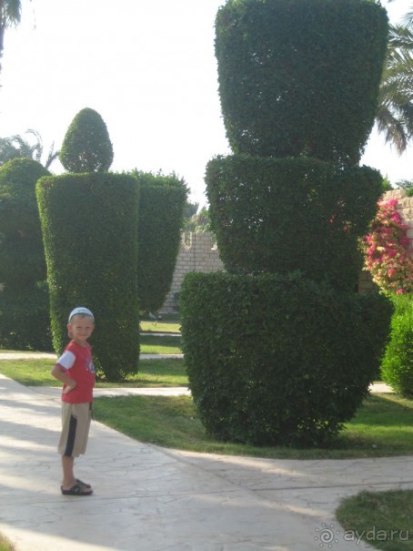 Отель для отдыха с детьми!