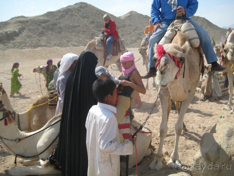 Отель для отдыха с детьми!