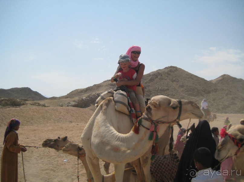 Отель для отдыха с детьми!