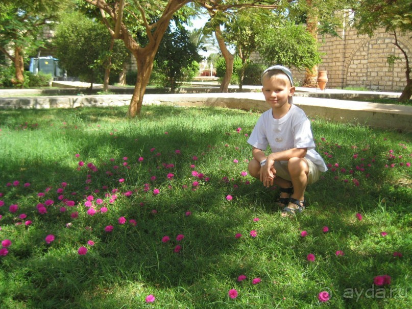 фото Jasmine Village