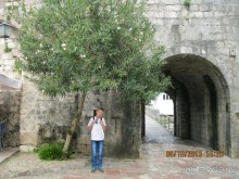 День в Старом Которе