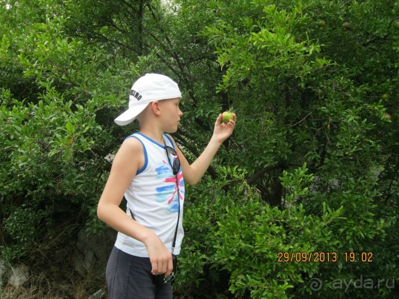 Черногория. Путешествие по Будванской Ривьере пешком! День первый и второй.