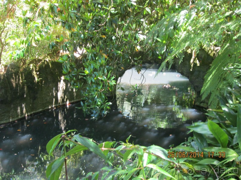 Моя Португалия. Часть 3. Загадки и символы Кинта да Регалейра.