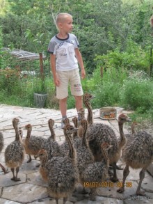 Родопы - это супер!