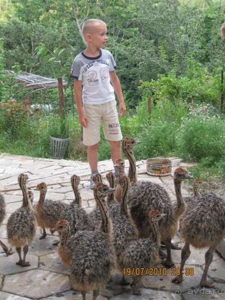 Родопы - это супер!