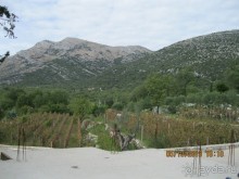 Альбом отзыва "Экскурсия из Черногории в Боснию и Герцеговину. Требинье."