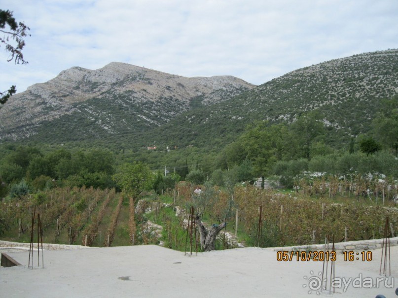 Экскурсия из Черногории в Боснию и Герцеговину. Требинье.