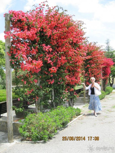 Моя Португалия. Часть 1. Лиссабон.