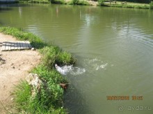 Родопы-горный рай. Скала "Невеста".