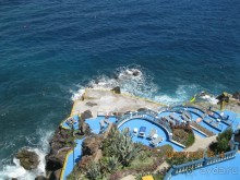 фото Royal Orchid