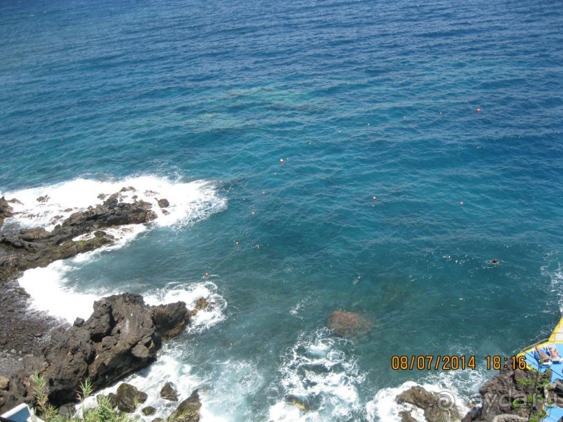 фото Royal Orchid