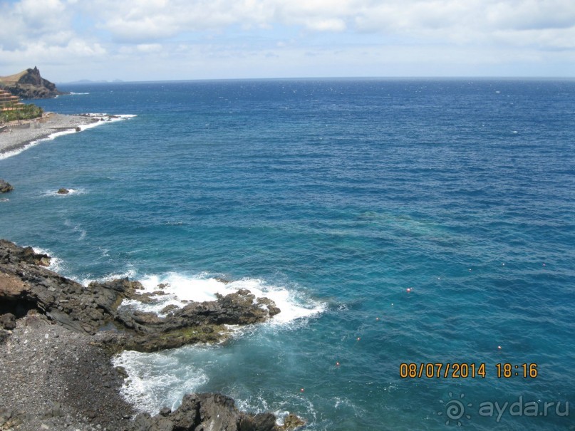 фото Royal Orchid