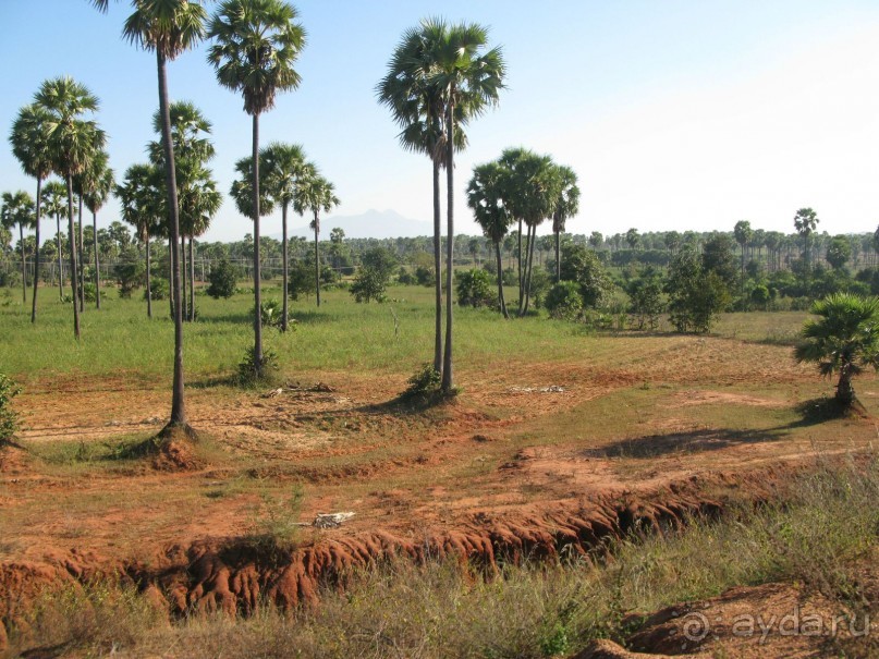 По стране золотых пирамидок