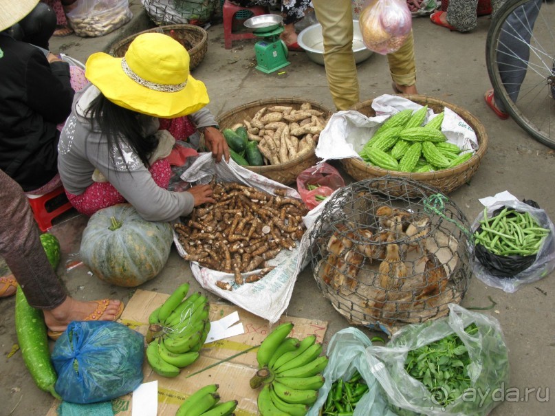 парадоксы страны драконов