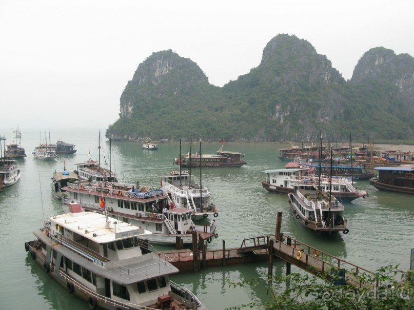 парадоксы страны драконов