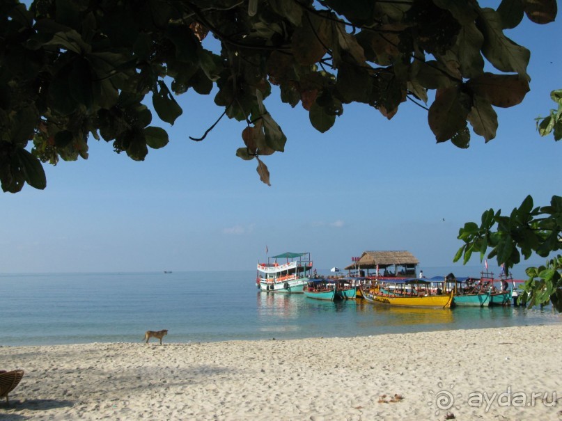 парадоксы страны драконов
