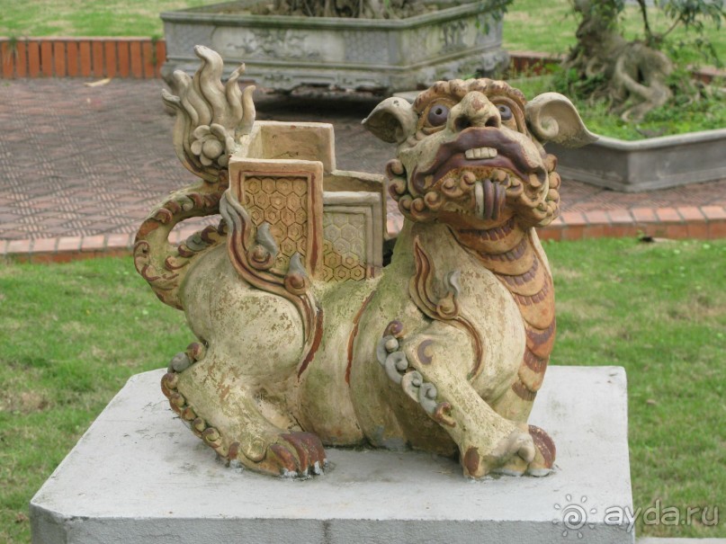 парадоксы страны драконов