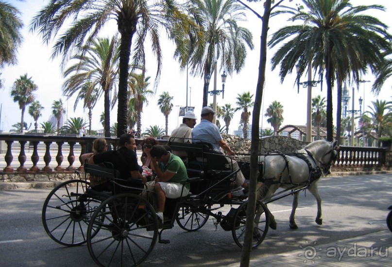 Барселона. Вечер. Уставшие от изнуряющей сиесты менеджеры разъезжаются по домам...