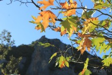 Мои первые поездки в Испанию