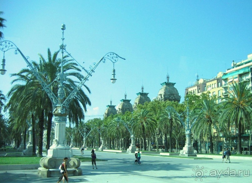 Барселона. Из окна автобуса