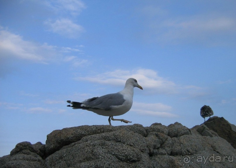 Тосса. На скалах