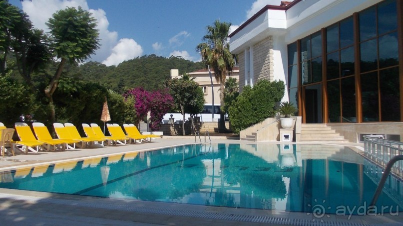 Пять с плюсом не поставлю, но весьма и весьма!