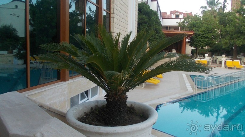 Пять с плюсом не поставлю, но весьма и весьма!