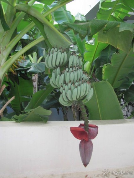 Дешево и со вкусом