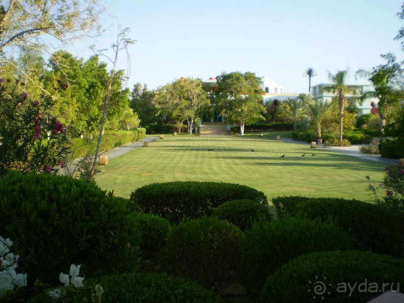  Надоел туризм? Хочется именно отдыха? Добро пожаловать в Египет. 