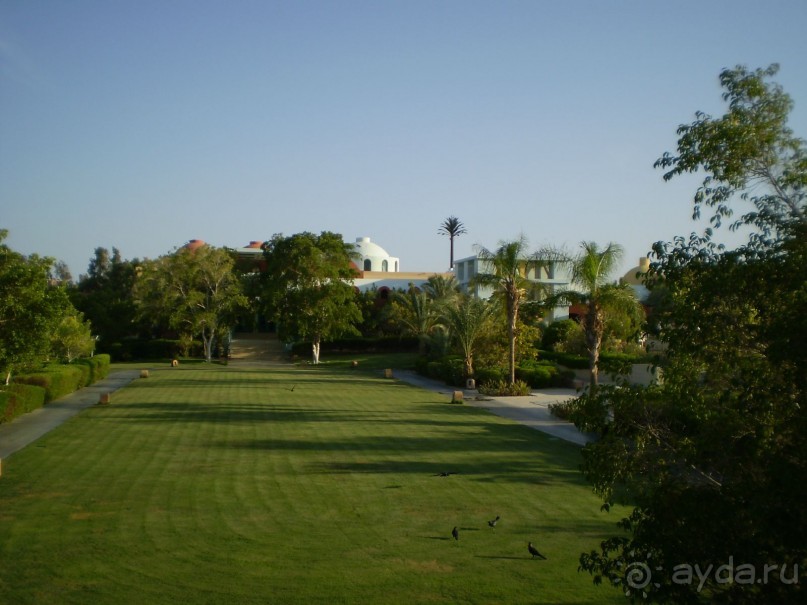  Надоел туризм? Хочется именно отдыха? Добро пожаловать в Египет. 