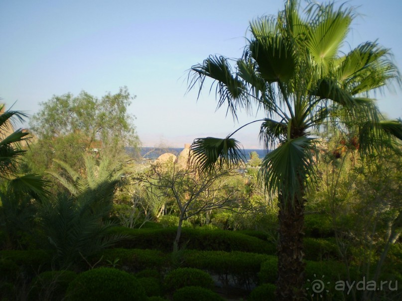  Надоел туризм? Хочется именно отдыха? Добро пожаловать в Египет. 