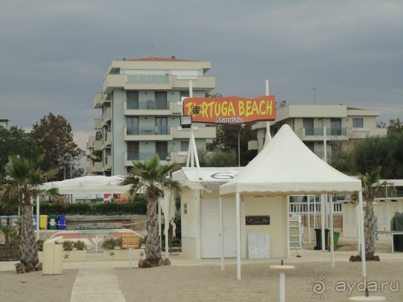 Метрополь и в Африке Метрополь.