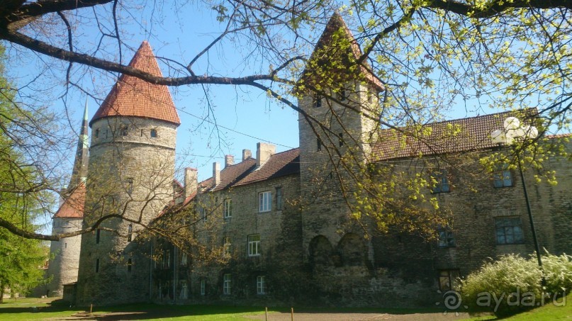 Круиз на пароме Принцесса Анастасия