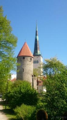 Круиз на пароме Принцесса Анастасия