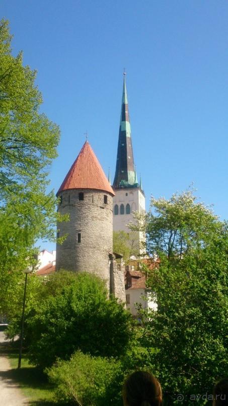 Круиз на пароме Принцесса Анастасия Круиз на пароме Принцесса Анастасия