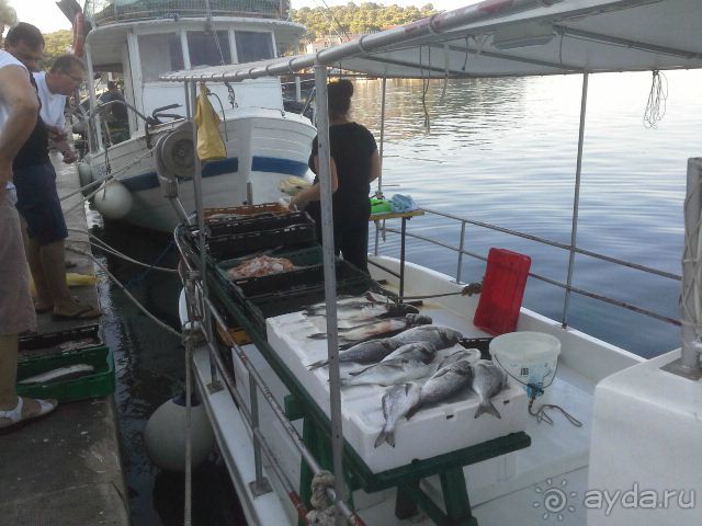 Макарска. Хорватия