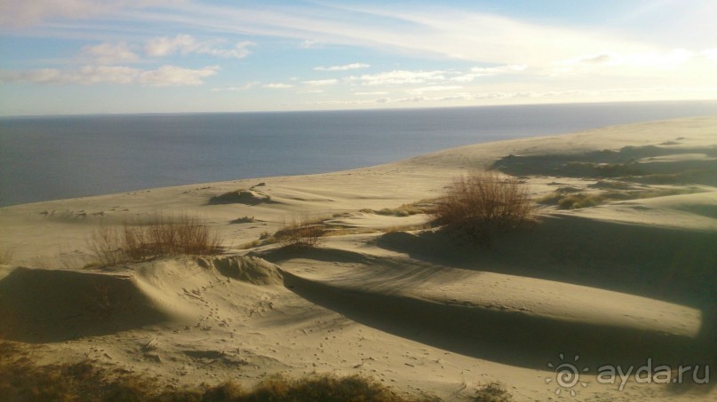 Альбом отзыва "Калининградская неделя"