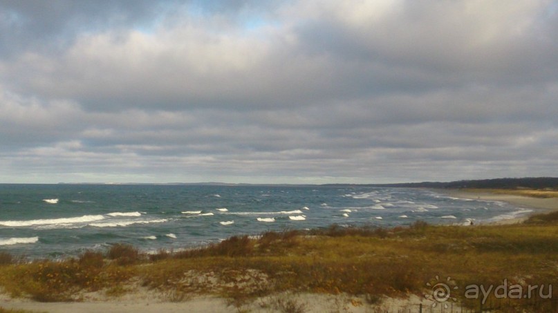 Альбом отзыва "Калининградская неделя"