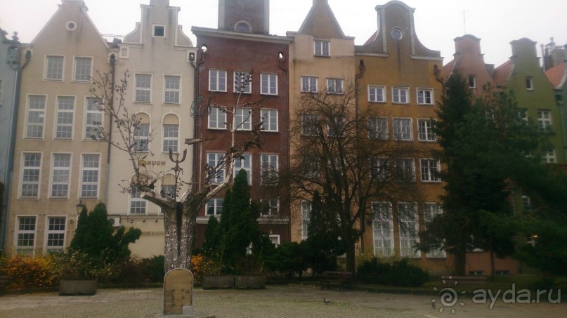 Калининградская неделя