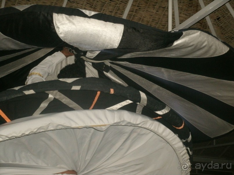 А мы в восторге