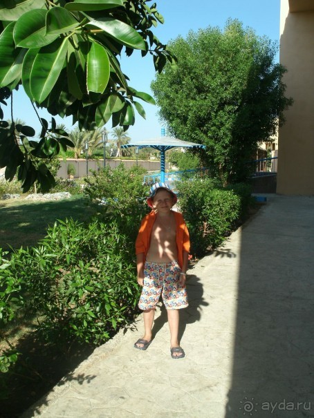 А мы в восторге