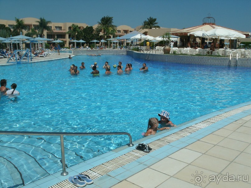 А мы в восторге