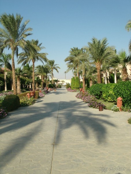 А мы в восторге