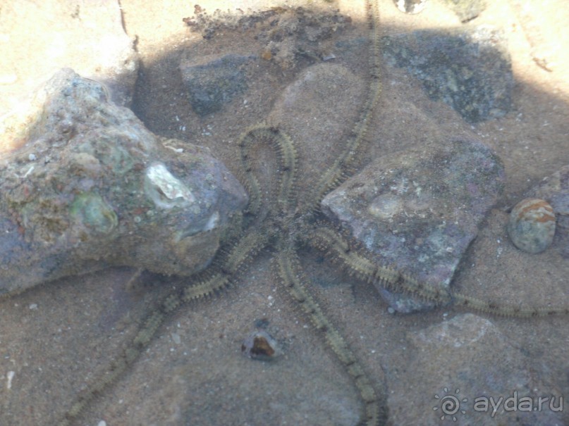 А мы в восторге