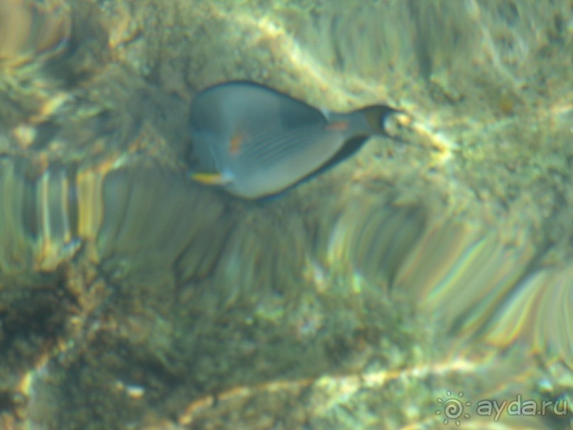 А мы в восторге